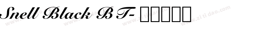 Snell Black BT字体转换